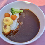 メトロ倶楽部 - のりもとんカレー
