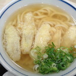 やりうどん - 「ごぼ天うどん」（520円）