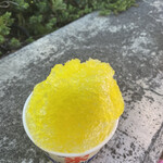 ラティメリア - 