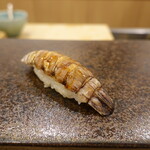 あま木 - 三河西浦蝦蛄