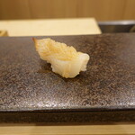 あま木 - 篠島のミル貝