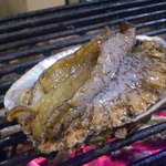 旬割鮮 地鶏料理 天 - 贅沢に、あわびを踊り焼きでいただきまーす！天然物はやっぱ味が違いますね！大将いわく、「海藻の美味しい春」はあわびも海藻を食べているので、味も最高！らしいですよ！１