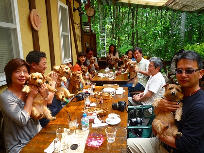 パスタ ピザガーデン マジョラム 小淵沢 パスタ 食べログ