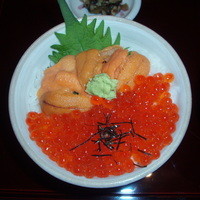 函館うに むらかみ 日本生命札幌ビル店 - 