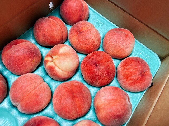 フルーツショップたかはし - 新地（その他）の写真