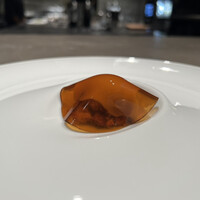 SHIROIYA the RESTAURANT - 
