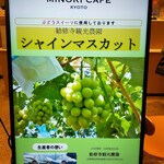 Minori Kafe - 