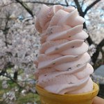 夢木香 - 料理写真:美味しかった桜の葉が入ったソフトクリーム(*^。^*)