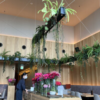 横浜焼肉kintan - 