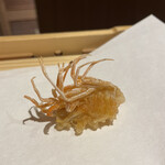 玄水 - 海老の頭