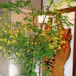 Shokuboushiki - 四季を感じる旬の花木を活けて皆様のご来店をお待ち申し上げます。