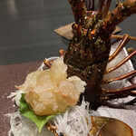 月の花 梟 - 身量たっぷり‼︎