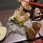 月の花 梟 - 未だ、動いてます(^^;;