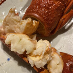 月の花 梟 - 30㎝級一匹　