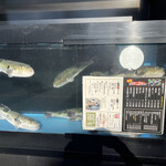 ふぐ専門店　鉄砲 - 