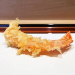 てんぷら 近藤 - 車海老・胴