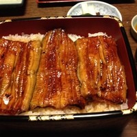 明神下 神田川 本店 - うな重（大）