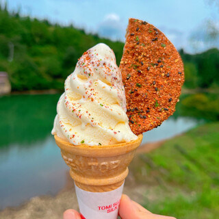 道の駅 いりひろせ_0