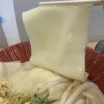 ひもかわ桐生 - おいおいマジか！