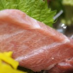 黒潮鮨 - 大トロ