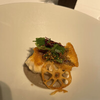 Wattle Tokyo - 