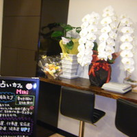 占いの出来る喫茶 By ぷちとまと 占いカフェ Miki ミキ 南安城 喫茶店 食べログ 占いの出来る喫茶 By ぷちとまと 占いカフェ Miki ミキ 南安城 喫茶店 食べログ