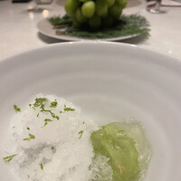 スガラボヴィー - 