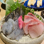 和風地酒居酒屋　蔵馬 - カンパチと天使の海老のお刺身