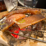 魚正宗 - イカの醤油焼き
芋ロックがススム、ススム…