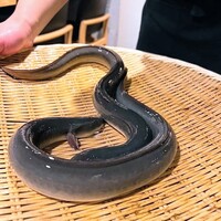 炭焼鰻 寝床 福島店 - 