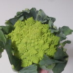 松原農園 - ろまねっし～