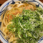 Marugame Seimen - 