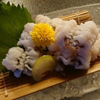 先斗町 四季 よし菜 - 