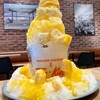 ロッカウェイバーガー - 料理写真:かき氷 マンゴー 990円
（期間限定）