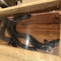 にょろ助 銀座 - 