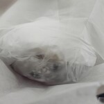 松島屋 - 買ってそうそう写メ