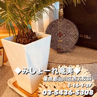 みしょーれ奄美_2