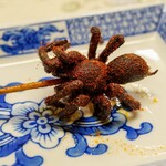 上海小吃 - 蜘蛛