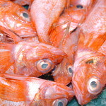 Daimaru Ya Semba Ten - 旬のお魚も多数取り揃えております！