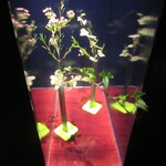 レストラン コートドール - ちょっと、これはそのまま刺しているだけですね。ちゃんと「下の部分」に花はありますが。。。