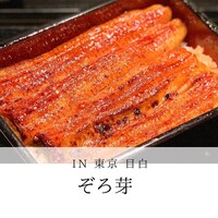 うなぎ 目白ぞろ芽 - 