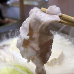 Dainingu Suzushiro - 湯豆腐 茶味豚しゃぶ