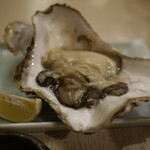 浜っ子 - 厚岸漁師直送殻付き生カキ