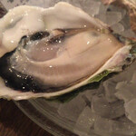 オストレア oysterbar&restaurant - 