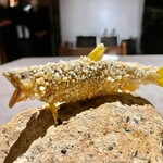 茶禅華 - 2022.8.  啤酒香魚