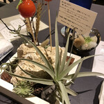 プレゼンテ スギ - 定点