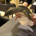 プレゼンテ スギ - スッポン生