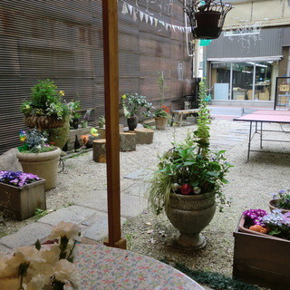 オーガニックキッチン&ワインバー レコッコレ_2