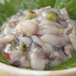 Octopus wasabi/salted squid