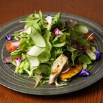 Entame Chaya Yok Kamakura! - 鎌倉野菜の彩りサラダ